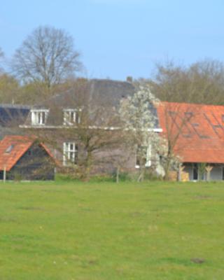 Houterhoeve