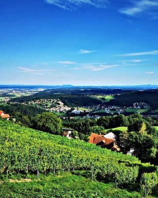 WIEDNERMICHL - Urlaub in den Weinbergen