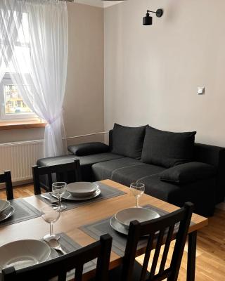 Apartament Zamkowy Stare Miasto