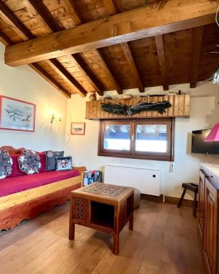 Nice and bright apartment in Combloux