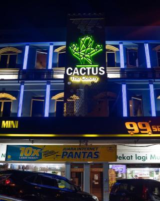 The Colony by Cactus Hotel Dedap