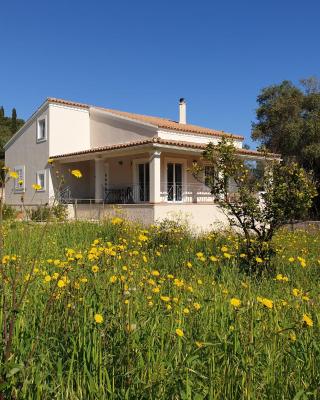 Kassiopi Central House