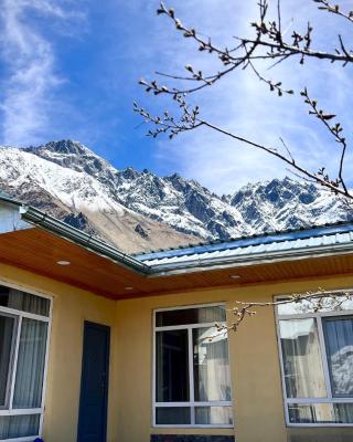 Mountain KAZBEGI Apartment