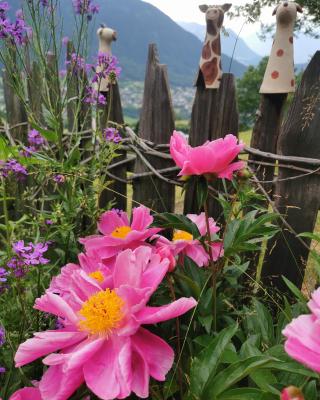 Wieserhof Tirol