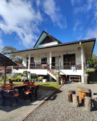 Bonsai Villa @ Mesilou 盆栽小苑