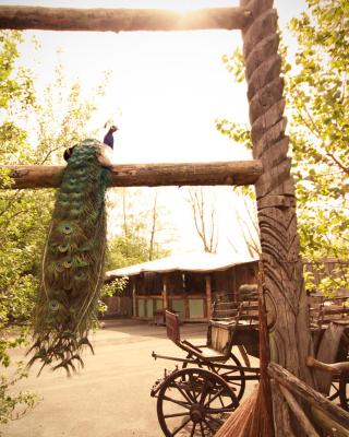 Bamboo Lodge Groningen