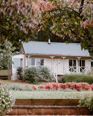 The Mountain View Cottage