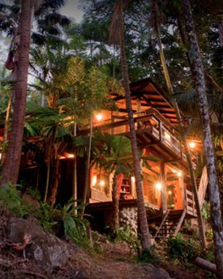 Currumbin Rainforest Treehouse