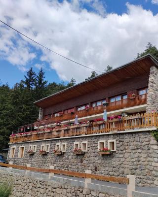 Chambres d'hôtes Le Grand Chalet