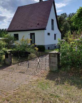 Mecklenburgische Seenplatte - Saniertes und gemütliches Ferienhaus mit großem Garten und Steg