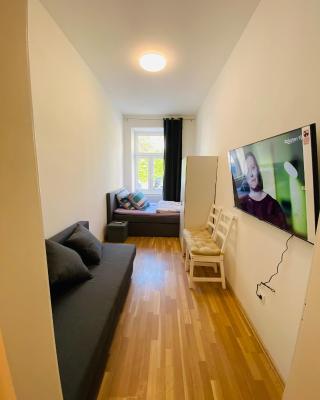 NiceApartmentHollergasse 1a