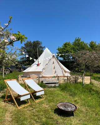 Bowhayes Farm - Camping and Glamping