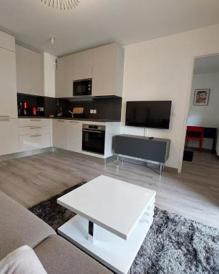 Appartement sur Valberg dans résidence neuve proche centre