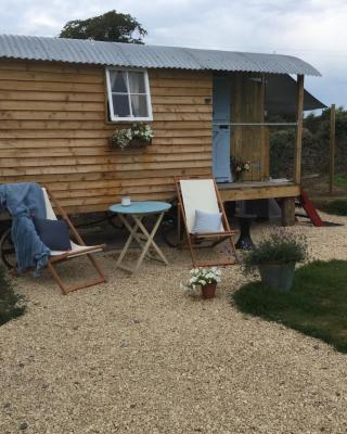 Dolly’s shepherds hut