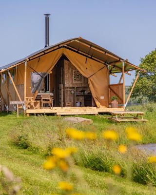 Under the Oak Glamping