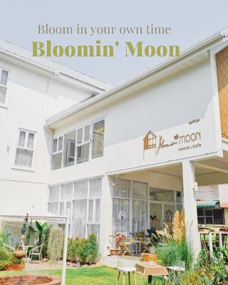 Bloomin' Moon hostel & cafe, Chiang Mai Old Town