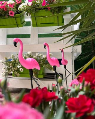 Casa Flamingo