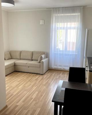 Cozy apartment near the city center, Lembitu