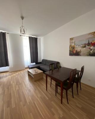 NiceApartmentHollergasse 8