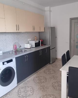 Apartament mihaela