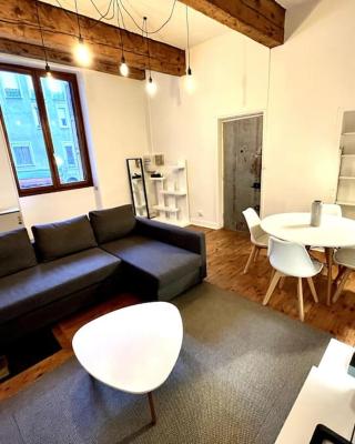 Grenoble Hypercentre - Appartement vieille ville - Wifi