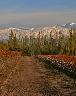 Finca Mosso Lunlunta