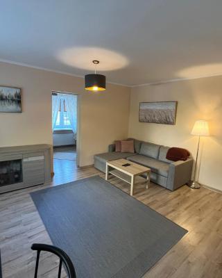 Lovely and cozy apartment in central Tartu