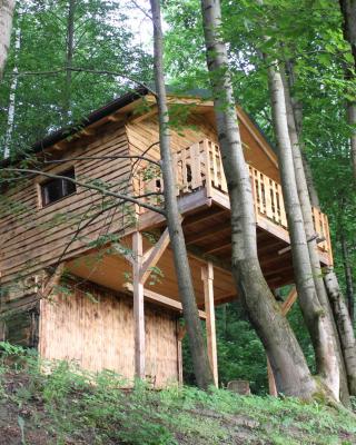 Treehouse Velké Losiny