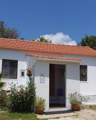 The Cottage near the lake