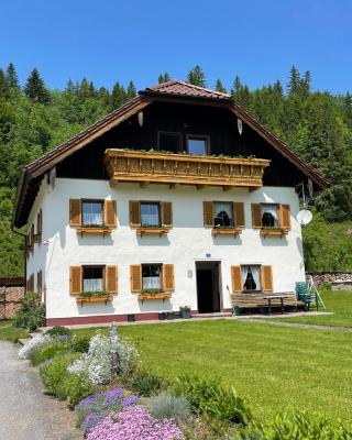 Haus Tanne Abtenau