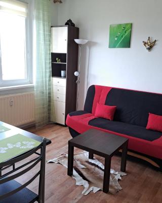 Apartmán v podhůří Krušných hor