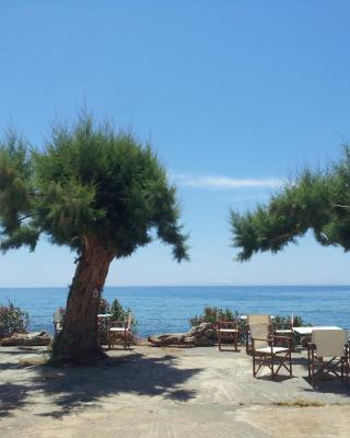 Georgoshouse Lykos beach Sfakia