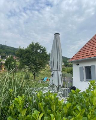 Panoramic tranquility on hill of vineyard