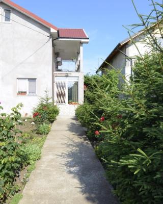 Vila Ali