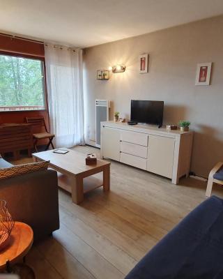 STUDIO CENTRE ET PIED DES PISTES