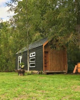 Tinyhouse Licanray