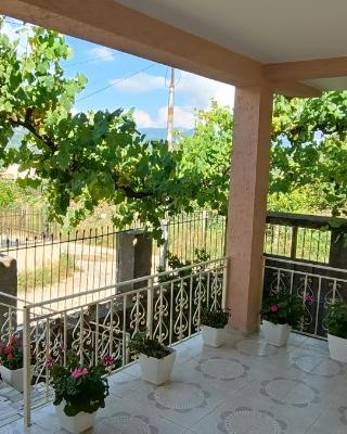 eljos house permet