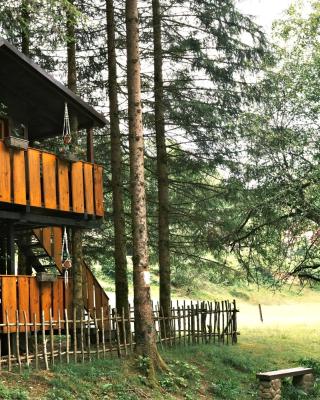 Treehouse KUPARI Nacionalni park Risnjak