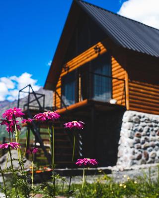 Traveler's Cottages in Kazbegi