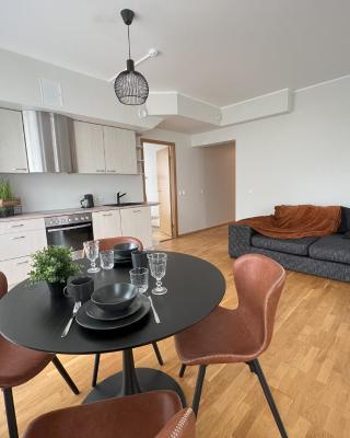 Cozy Apartment near City Centre