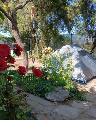 Camping Curtea Pescărușului