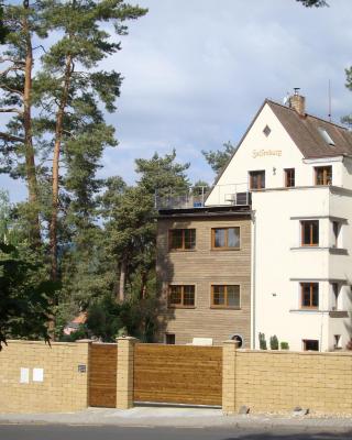 Apartmány FELSENBURG Staré Splavy