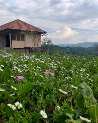 Etno House Jakic
