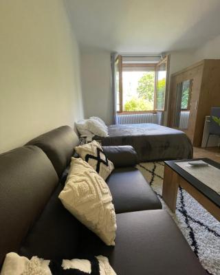 Chambre privée vue sur le jardin proche centre ville