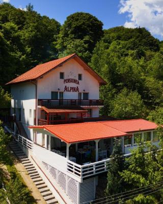 阿尔皮纳酒店