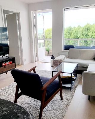 Private room in shared Modern Apartment - Oslo Hideaway