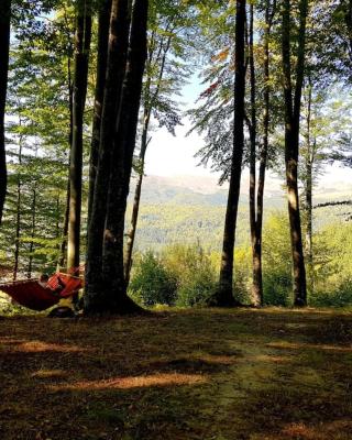 Cabana Cheia Fericirii - Forest Family Retreat