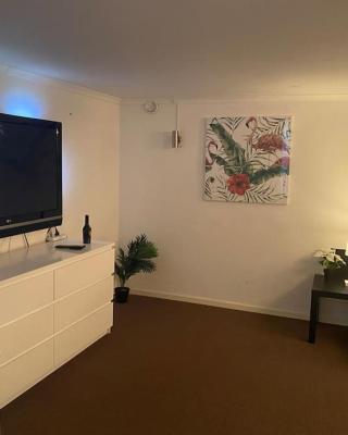 Entire Basement Level in Eneby