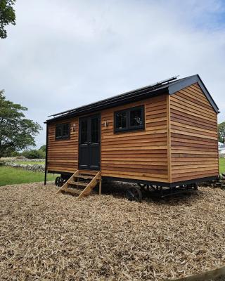 Woodland Shepherds Hut - 'Saga'