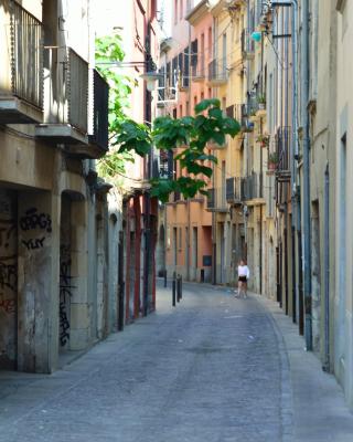 Girona Housing Ginesta 9